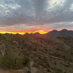 Meet your Posher, Cecilia